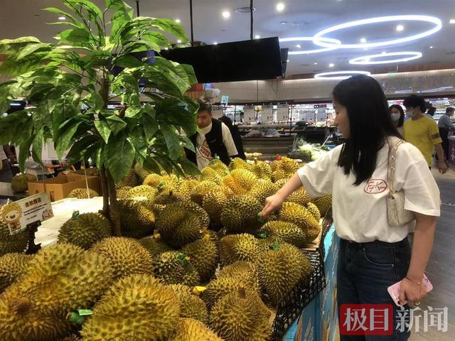 榴蓮批發(fā)市場(chǎng)進(jìn)貨渠道，泰國榴蓮批發(fā)市場(chǎng)進(jìn)貨渠道？