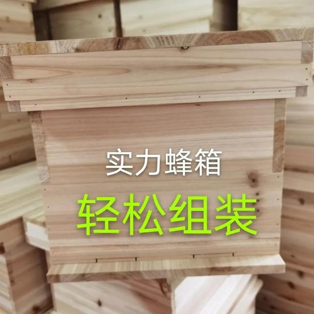 蜂箱怎么賣，哪里有蜂箱賣,多少錢一個(gè)？