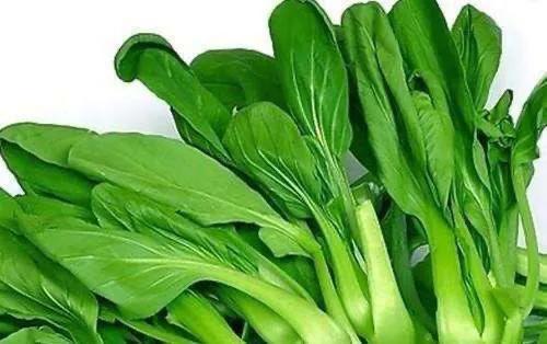 批發(fā)青菜_一天賺8000幾個小時最好，批發(fā)青菜_一天賺8000幾個小時能賺多少？
