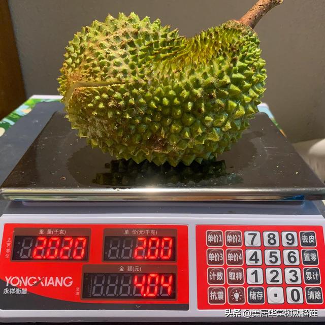 泰國(guó)榴蓮批發(fā)市場(chǎng)進(jìn)貨渠道官網(wǎng)，泰國(guó)榴蓮批發(fā)市場(chǎng)進(jìn)貨渠道在哪？