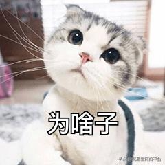 花店鮮花進(jìn)貨渠道有哪些，花店鮮花進(jìn)貨渠道有哪些問題？