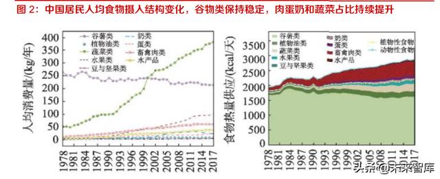 長沙凍貨批發(fā)市場進(jìn)貨渠道，長沙凍貨批發(fā)市場進(jìn)貨渠道有哪些？