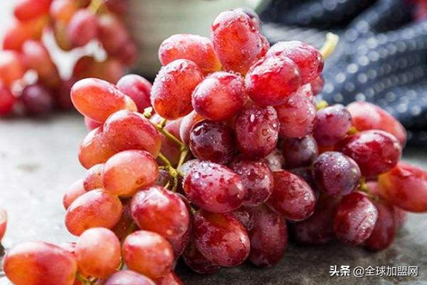 水果進貨渠道怎么找供貨商，水果店進貨渠道有哪些？