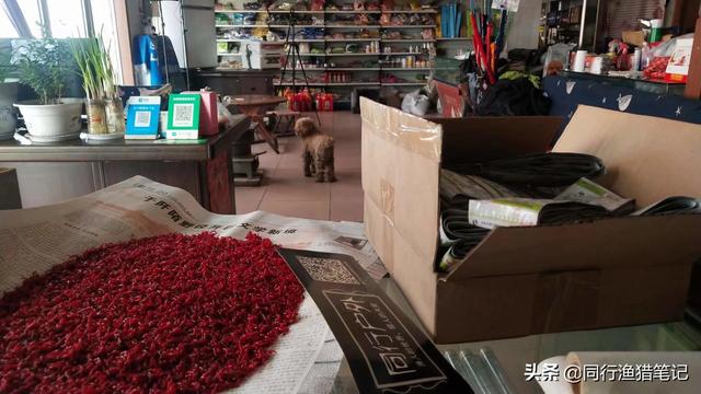 新手開漁具店怎么進貨進些什么呢，開漁具店怎樣進貨？