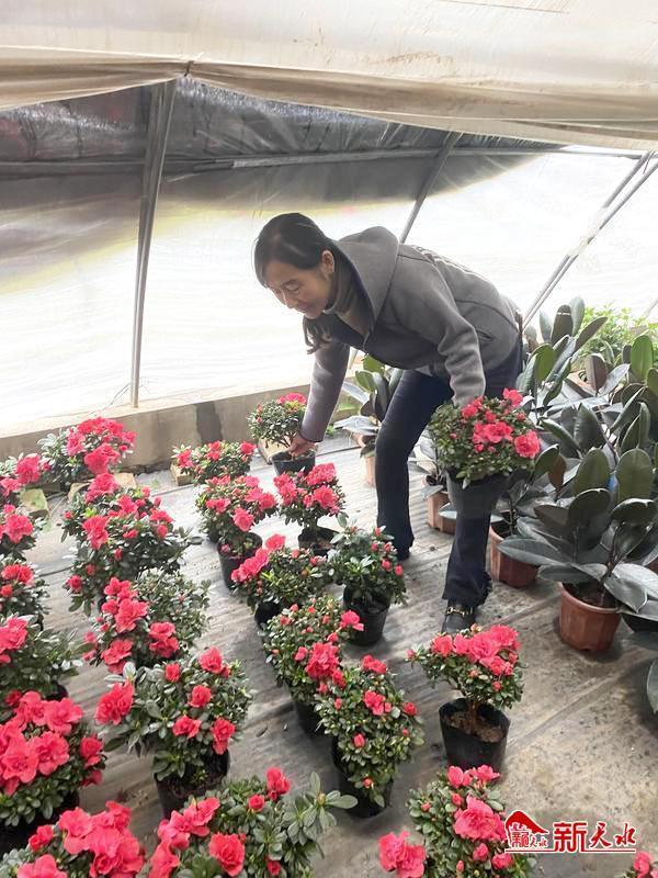 北京批發(fā)花卉去哪里進(jìn)貨，北京批發(fā)花卉去哪里進(jìn)貨便宜？