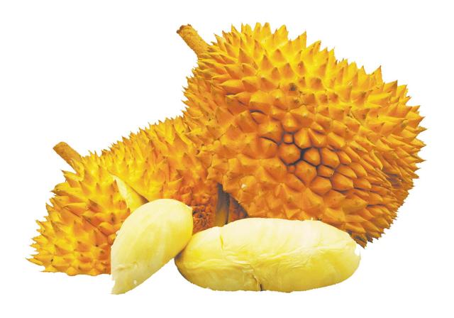 榴蓮從哪里進(jìn)貨便宜又好吃，榴蓮從哪里進(jìn)貨便宜又好吃呢？