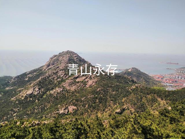 區(qū)域代理合同模板，委托代理合同模板？
