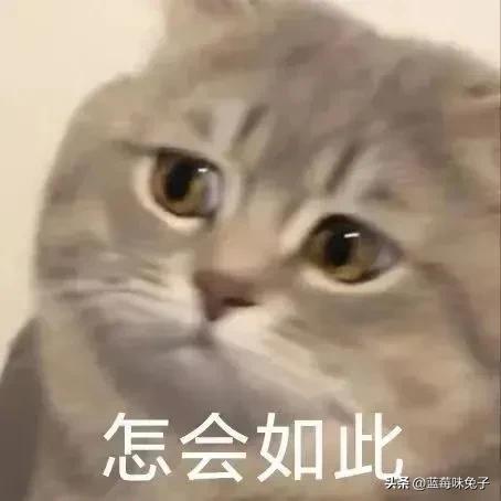 成人用品免費(fèi)加盟微商，成人用品免費(fèi)加盟微商平臺(tái)？