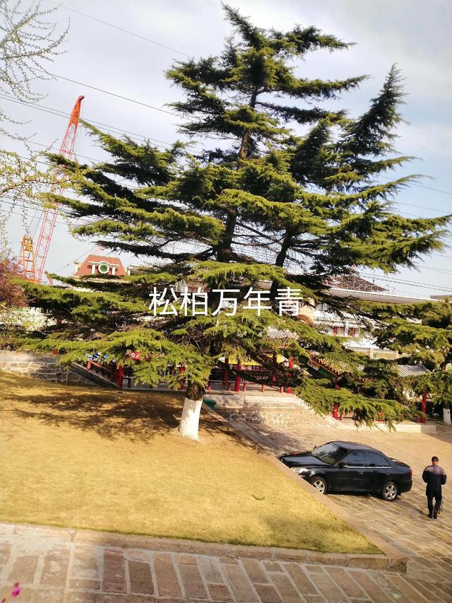 貨運(yùn)代理合同模板，化妝品代理合同模板？