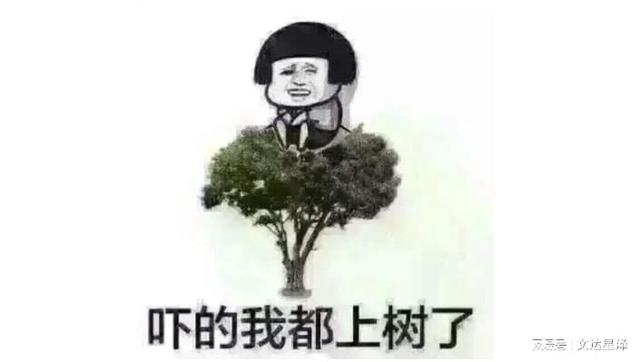 兼職會(huì)計(jì)和代賬公司，你們的2022年注定與眾不同