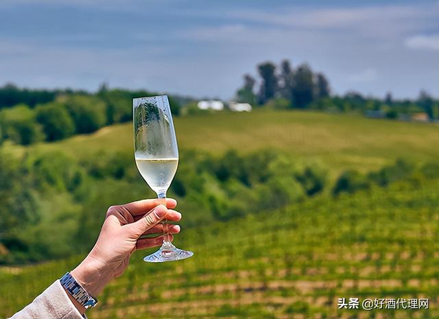 茅臺(tái)葡萄酒代理價(jià)格表，茅臺(tái)葡萄酒代理加盟條件？