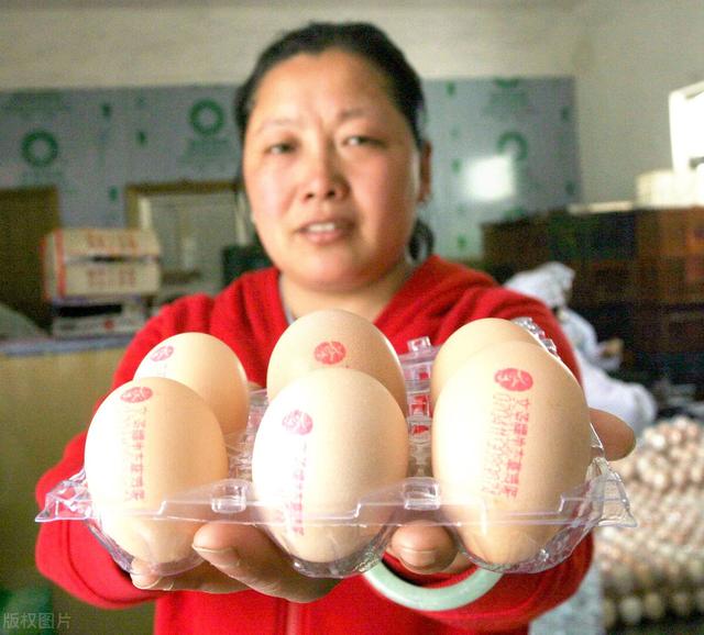 如何找到做鴨的渠道，想當(dāng)鴨子有什么途徑？