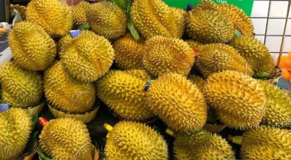 泰國榴蓮批發(fā)市場進(jìn)貨渠道官網(wǎng)，泰國榴蓮批發(fā)市場進(jìn)貨渠道在哪？