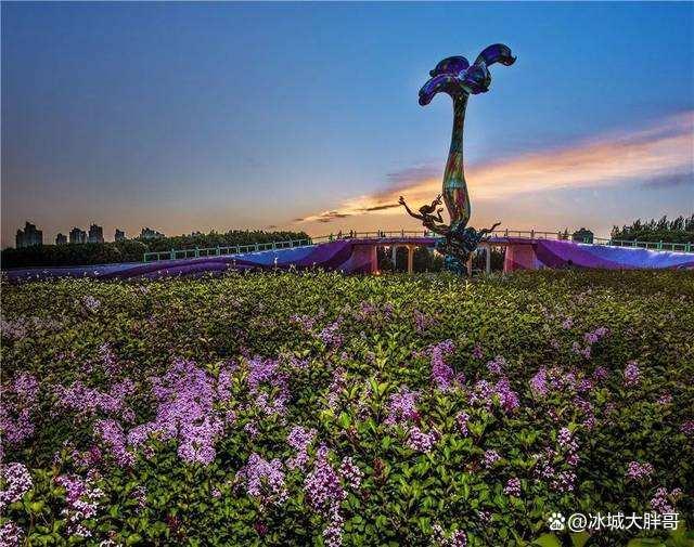 哈爾濱鮮花批發(fā)市場哪里最便宜，哈爾濱鮮花批發(fā)市場哪里最便宜又好？