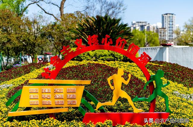 農(nóng)副產(chǎn)品一手貨源批發(fā)網(wǎng)，哪里有一手農(nóng)產(chǎn)品貨源？