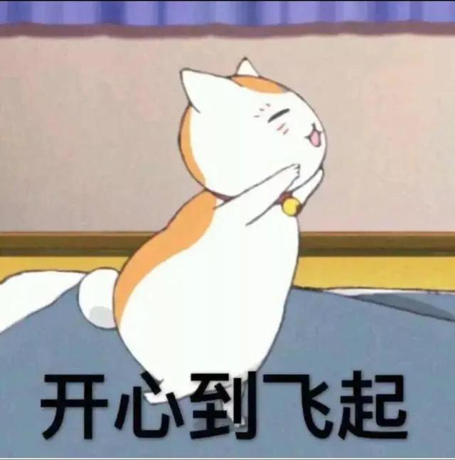 貓糧批發(fā)渠道哪個好，貓糧批發(fā)渠道推薦？