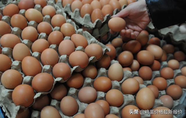 重慶雞蛋批發(fā)哪里最便宜，重慶雞蛋批發(fā)哪里最便宜的？