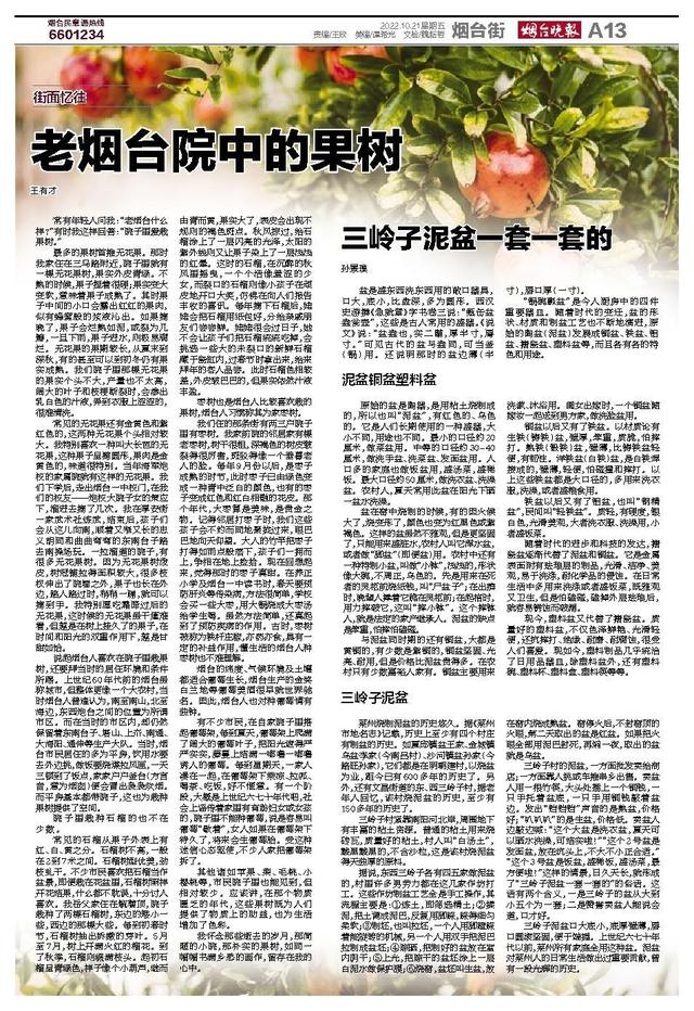 花盆批發(fā)哪里最便宜，盆栽花卉基地批發(fā)哪里最便宜？