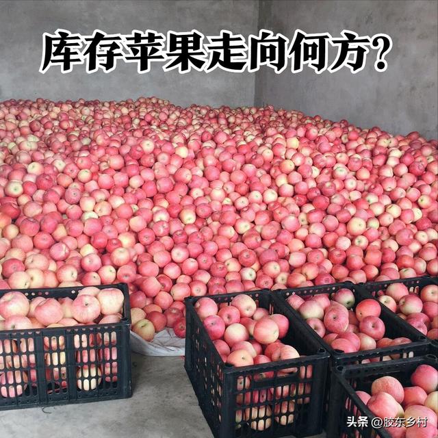 蘋果批發(fā)哪里最便宜的地方，蘋果批發(fā)哪里最便宜的地方在哪里？