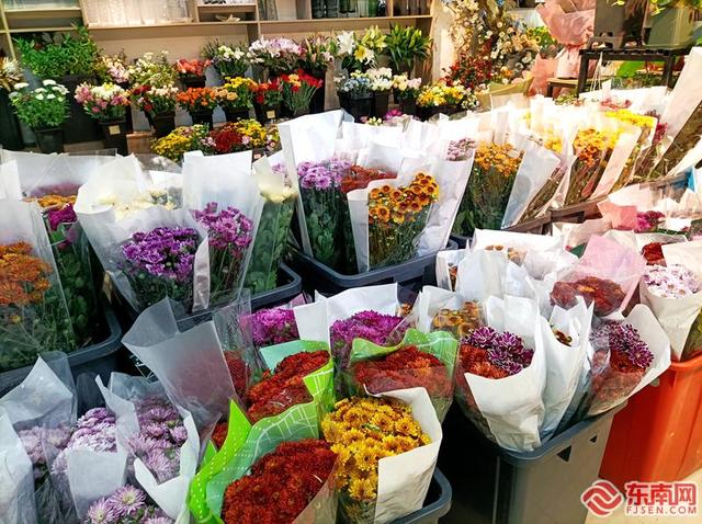 批發(fā)鮮花去哪里進(jìn)貨固鎮(zhèn)，批發(fā)鮮花去哪里進(jìn)貨花奔生產(chǎn)基地在哪里？