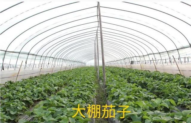 齊齊哈爾批發(fā)衣服在哪里進(jìn)貨便宜，齊齊哈爾批發(fā)衣服的地方？