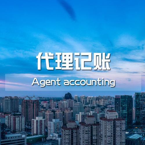 代理記賬的業(yè)務(wù)范圍如何，代理記賬的業(yè)務(wù)范圍如何寫？