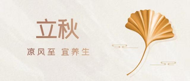 美思康宸阿膠是什么牌子阿膠，美思康宸阿膠總代理價(jià)格？