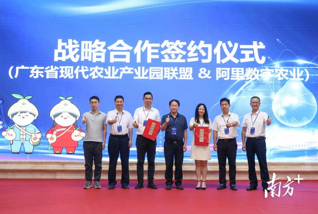 柚子聯(lián)盟代理怎么做賺錢，柚子聯(lián)盟代理怎么做賺錢的？