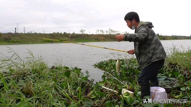 草花批發(fā)市場(chǎng)進(jìn)貨渠道，北京批發(fā)水草市場(chǎng)？