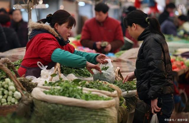 菜市場(chǎng)賣菜一天能賺多少錢，賣什么青菜掙錢？