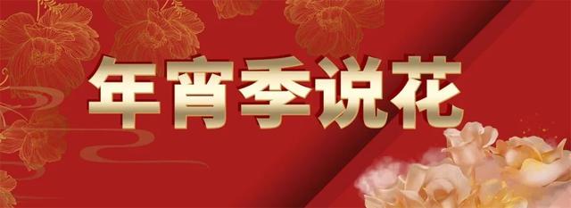 昆明蔬菜種子批發(fā)市場在哪里，無錫種子批發(fā)市場在哪里？