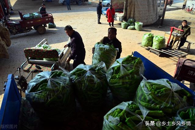 市場賣青菜一天賺多少錢合適，菜市場賣青菜一年能賺多少錢？