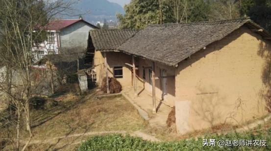 散白酒加盟代理，散酒加盟公司？
