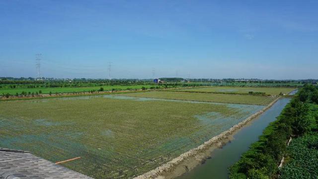 湖北潛江龍蝦批發(fā)市場電話，湖北潛江龍蝦批發(fā)市場電話號碼？