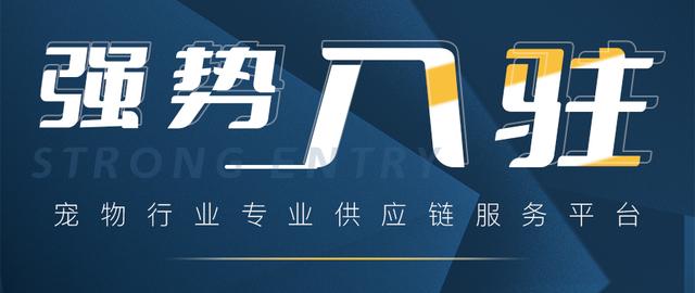 寵物用品一件代發(fā)貨源網(wǎng),狗龍?zhí)?，寵物用品批發(fā)一手貨源？