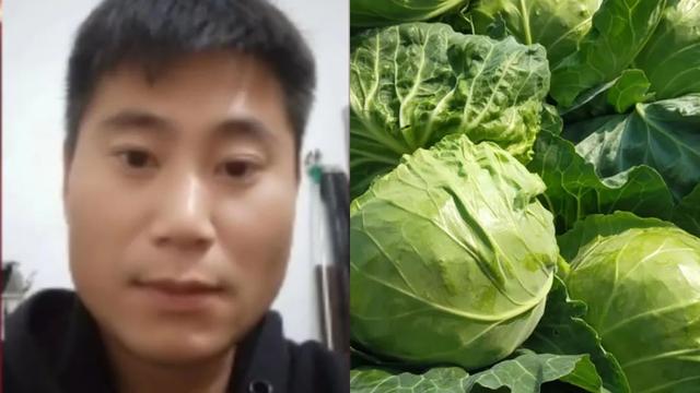 想做蔬菜批發(fā)怎么找貨源，找批發(fā)蔬菜貨源怎么找？