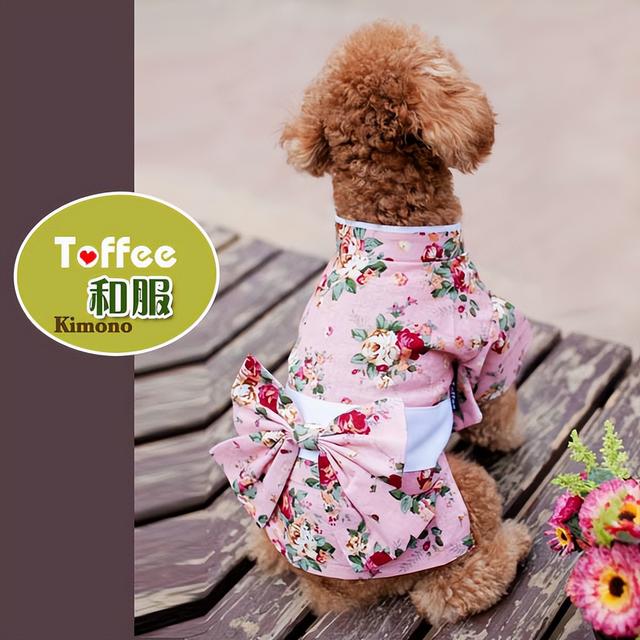 淘寶寵物用品店貨源怎么找，淘寶寵物用品店貨源怎么找的？