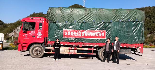 成都電商做什么類(lèi)目比較多，電商的貨源？