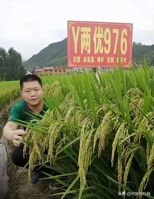 各種貨源批發(fā)網(wǎng)，買賣貨源網(wǎng)？