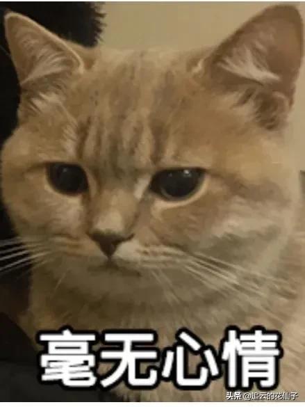 鄭州無貨源淘寶培訓中心，鄭州無貨源淘寶培訓中心地址？