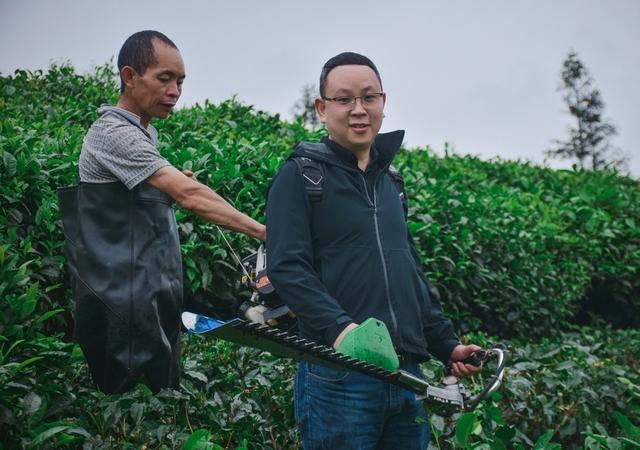 淘寶賣茶葉貨源哪里找，淘寶賣茶葉貨源哪里找的？