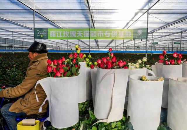 天貓超市的貨源供應(yīng)商是什么，天貓超市的貨源供應(yīng)商是什么意思？