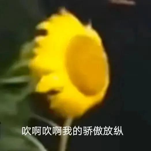 淘寶網(wǎng)店漢服貨源哪里找到，開漢服網(wǎng)店的貨源哪里來？
