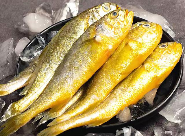 冰凍小黃魚批發(fā)價(jià)，？