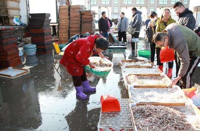 海鮮食品貨源批發(fā)網(wǎng)站有哪些，海鮮產(chǎn)品批發(fā)網(wǎng)站？