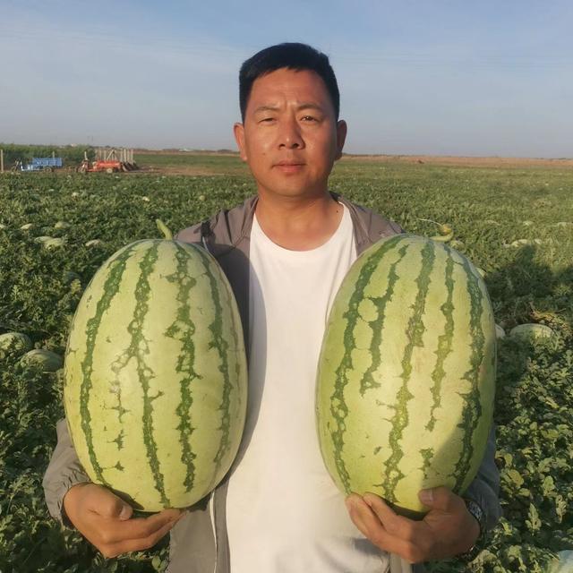 微信賣(mài)水果貨源一手貨源，微信賣(mài)水果貨源一手貨源可靠嗎？