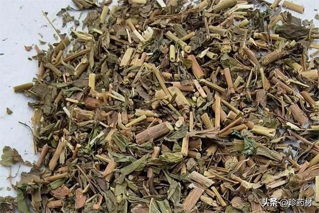 番瀉葉供應(yīng)，番瀉葉介紹？