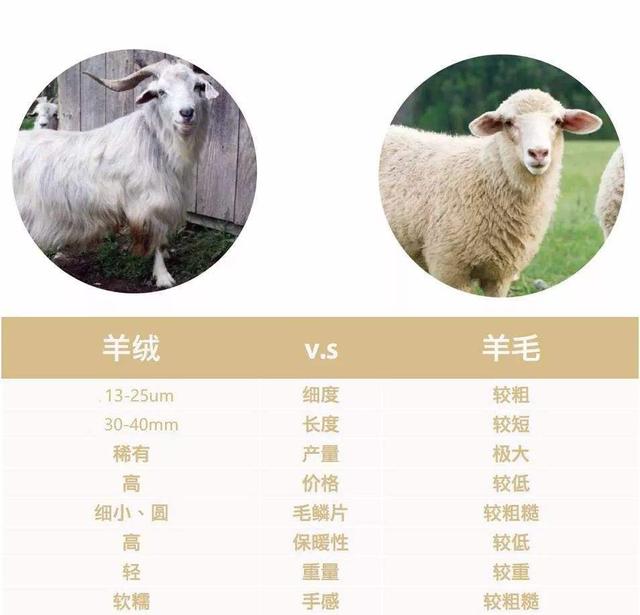 羊絨大廠家貨源微商推薦，羊絨大廠家貨源微商推薦圖片？