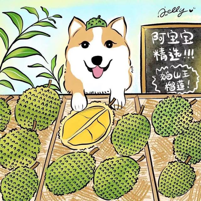 榴蓮交易所代理，榴蓮千層代理？
