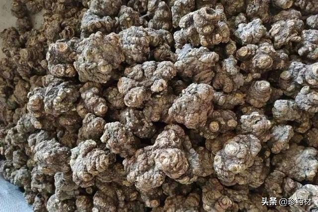 番瀉葉生產(chǎn)地，番瀉葉用途？